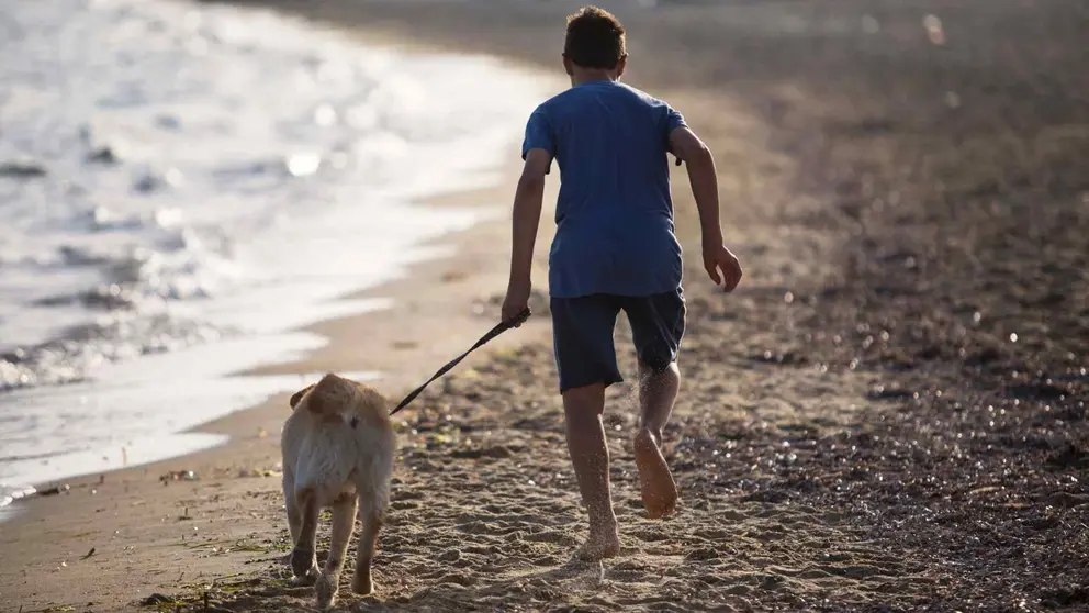 Un ni&ntilde;o con un perro de apoyo en la playa 