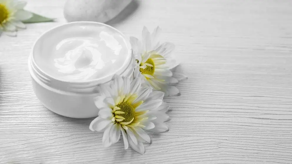 Dise&ntilde;o sin t&iacute;tulo (7)