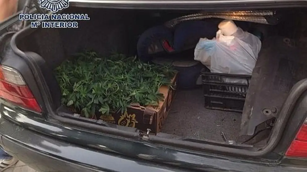 Marihuana en el interior del coche en Roquetas