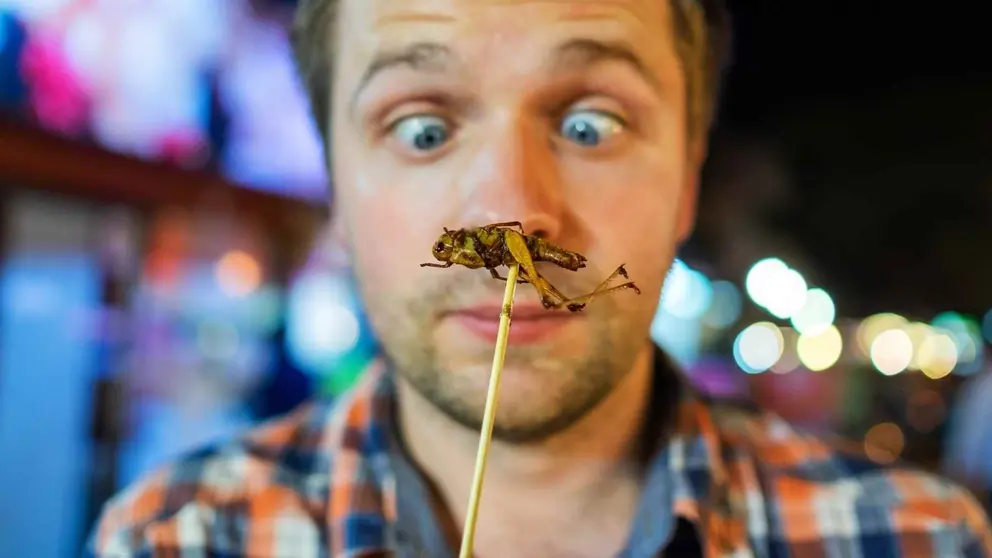 Comer grillos puede ser la posible soluci&oacute;n para acabar con la anemia en Per&uacute;