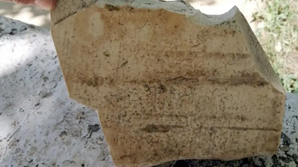 La agresi&oacute;n se realiz&oacute; con un adoqu&iacute;n