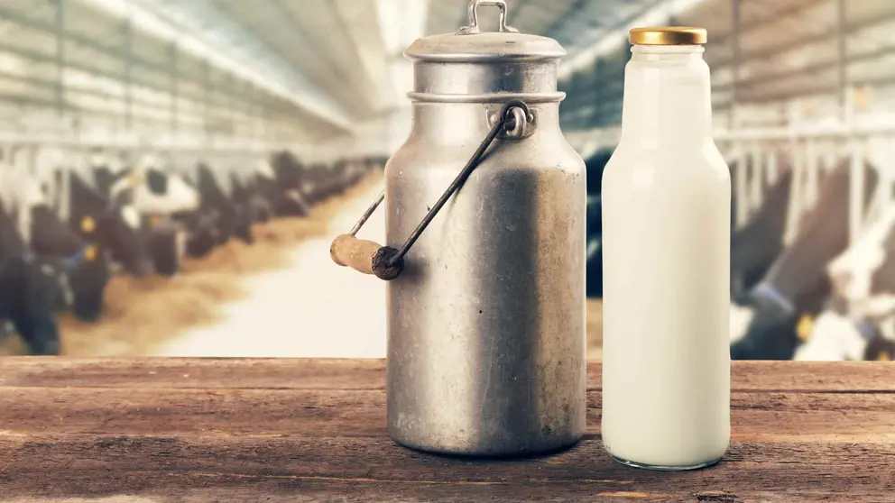 Beneficios de la leche entera y desnatada