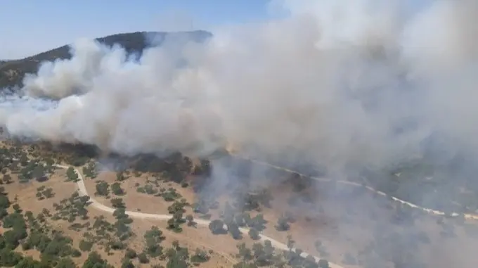 Incendio en Alcal&aacute; de los Gazules (C&aacute;diz)