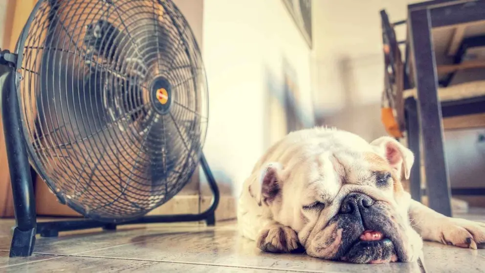 Se avecina la primera gran ola de calor del verano en Espa&ntilde;a que podr&iacute;a batir r&eacute;cords