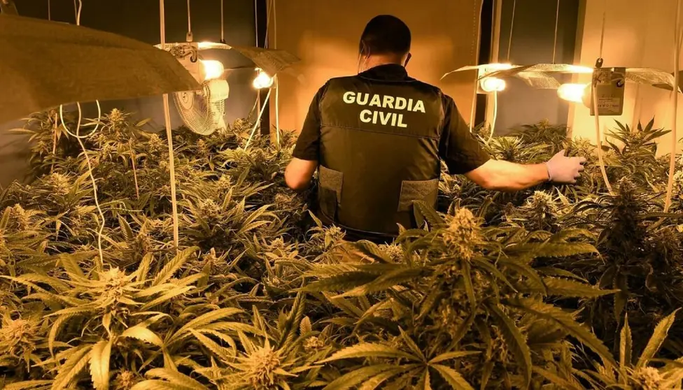 La lucha contra el tr&aacute;fico de droga ha sido incesante en julio en Granada
