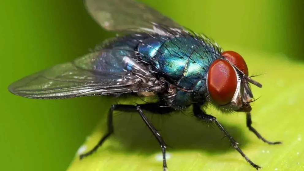 Dise&ntilde;o sin t&iacute;tulo (4)