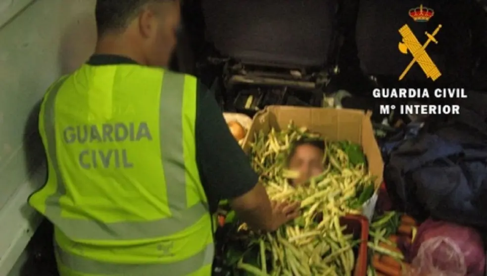 Dos polizones han sido descubiertos entre la carga de aceituna de un cami&oacute;n