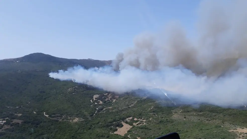Incendio forestal en Tarifa (C&aacute;diz)