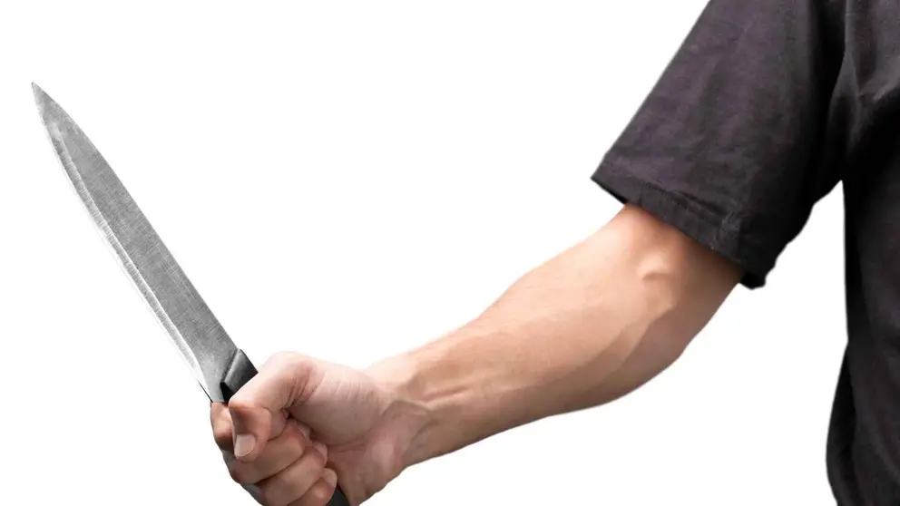 Padre e hijo han apu&ntilde;alado a un familiar en M&aacute;laga