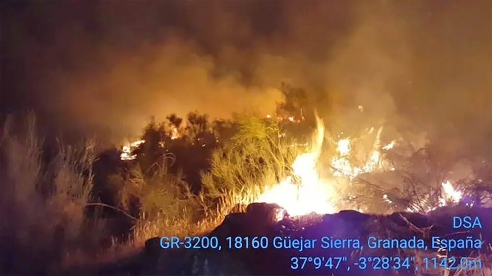 Un hombre de 70 a&ntilde;os sospechoso de quemar 10.000 metros cuadrados de olivar en G&uuml;&eacute;jar Sierra   