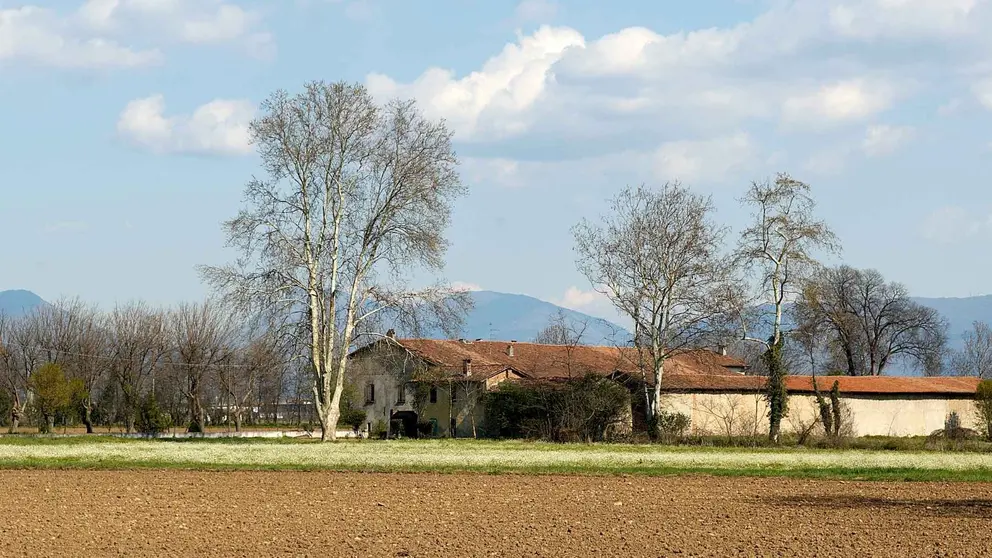 Un cortijo en Quesada