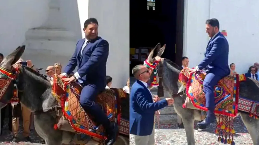 Un novio sorprende en la Catedral de C&aacute;diz llegando en un burro el d&iacute;a de su boda