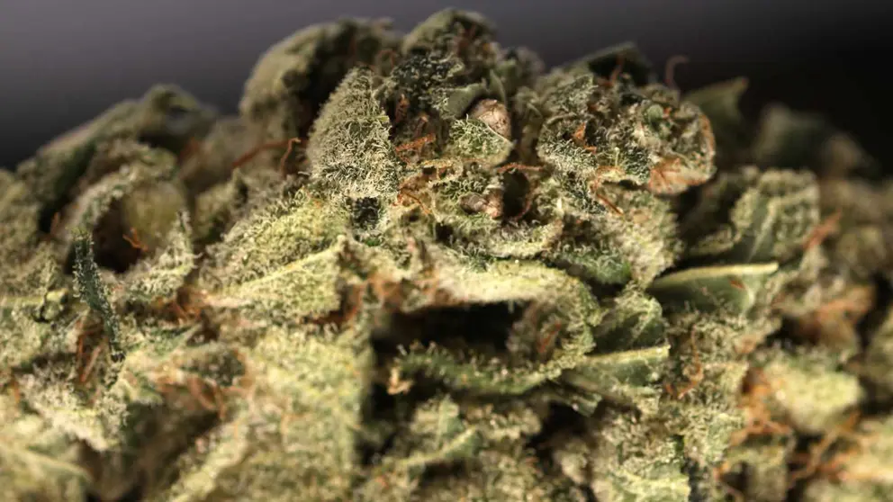 Pillan a dos hombres con 8 kilos de marihuana en el maletero de su coche en Almer&iacute;a