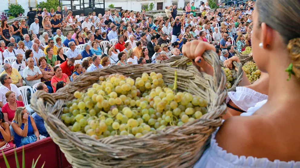 Fiestas de la Vendimia en Jerez