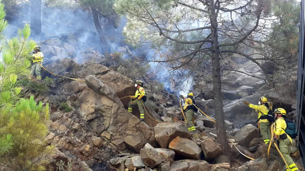 Dise&ntilde;o sin t&iacute;tulo (3)