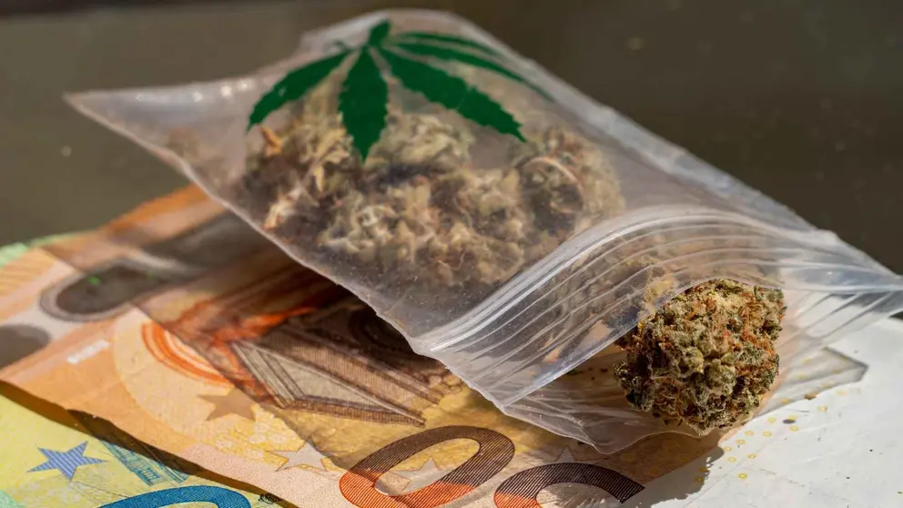 Una red dedicada al tr&aacute;fico de hach&iacute;s ha sido desarticulada en M&aacute;laga