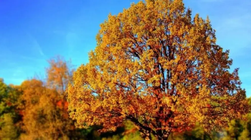 Andaluc&iacute;a vivir&aacute; un oto&ntilde;o m&aacute;s seco de lo normal