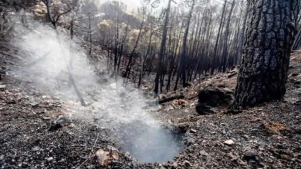 Dise&ntilde;o sin t&iacute;tulo (86)