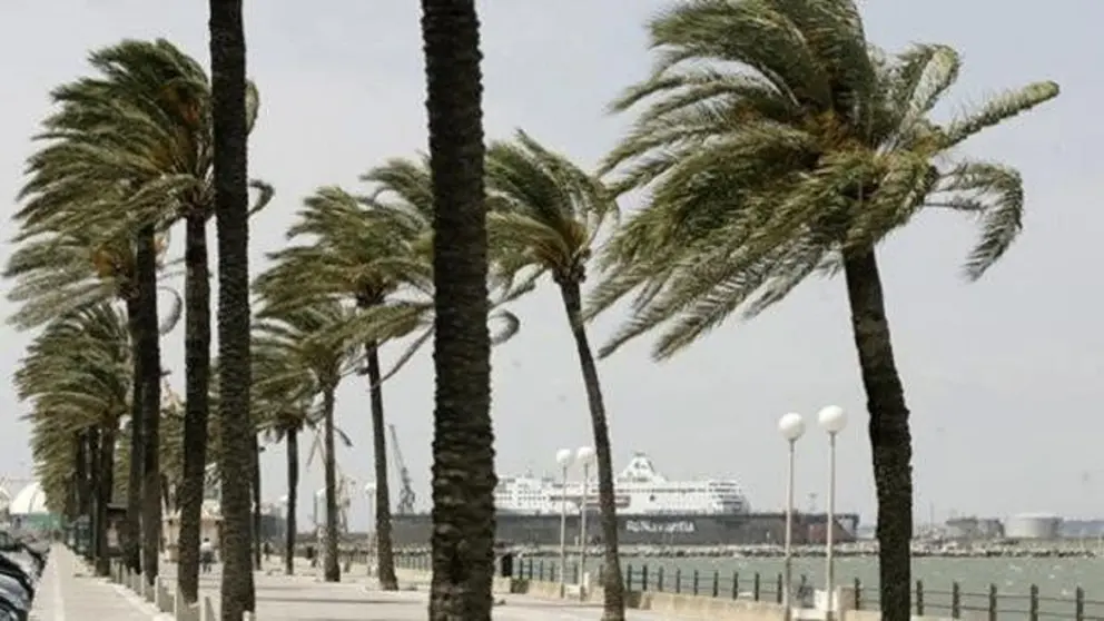 El viento de Levante regresa a C&aacute;diz