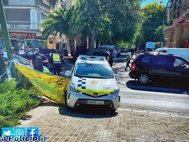 
<p>   GRANADA, 7 (EUROPA PRESS)</p>
<p>   El conductor del cami&oacute;n que el mi&eacute;rcoles por la ma&ntilde;ana atropell&oacute; en el paseo del Viol&oacute;n a una mujer de 52 a&ntilde;os, caus&aacute;ndole la muerte, ha confesado ante los agentes de la Polic&iacute;a Local que no puso el freno de mano cuando se baj&oacute; para recoger material en un taller cercano, por lo que el veh&iacute;culo se desplaz&oacute; hacia atr&aacute;s y la arroll&oacute;.</p>
<p>   El cami&oacute;n ha sido objeto de una primera revisi&oacute;n por parte de un equipo especializado de la Polic&iacute;a Local que ha verificado que el sistema del freno de mano funciona correctamente, aunque el veh&iacute;culo contin&uacute;a en el dep&oacute;sito a falta de que se le practique una inspecci&oacute;n ocular m&aacute;s exhaustiva cuyos resultados se incluir&aacute;n en el informe que se remitir&aacute; al Juzgado, seg&uacute;n han informado a Europa Press fuentes de este cuerpo policial.</p>
<p>   Tanto el conductor como el veh&iacute;culo tienen todos los documentos en regla, &eacute;l dio negativo en la prueba de alcoholemia y no se han encontrado infracciones de la normativa en la inspecci&oacute;n del tac&oacute;grafo. De estos y otros asuntos dar&aacute; cuenta al Juzgado la Polic&iacute;a Local, que ser&aacute; la encargada de realizar las diligencias de investigaci&oacute;n.</p>
<p>   El accidente, en el que tambi&eacute;n result&oacute; herido un hombre, se produjo sobre las 11,45 horas, cuando el cami&oacute;n, que estaba estacionado en el callej&oacute;n del &Aacute;ngel, arroll&oacute; a esta peatona en un paso de cebra, cerca de la rotonda que hay antes del Palacio de Congresos.</p>
<p>    Los efectivos de Polic&iacute;a Local practicaron los ejercicios de reanimaci&oacute;n cardiopulmonar a la v&iacute;ctima a su llegada sin &eacute;xito, pues la mujer perdi&oacute; la vida a causa del accidente, de modo que el conductor podr&iacute;a ser investigado por un delito de homicidio imprudente, seg&uacute;n precisan las fuentes.</p>
      