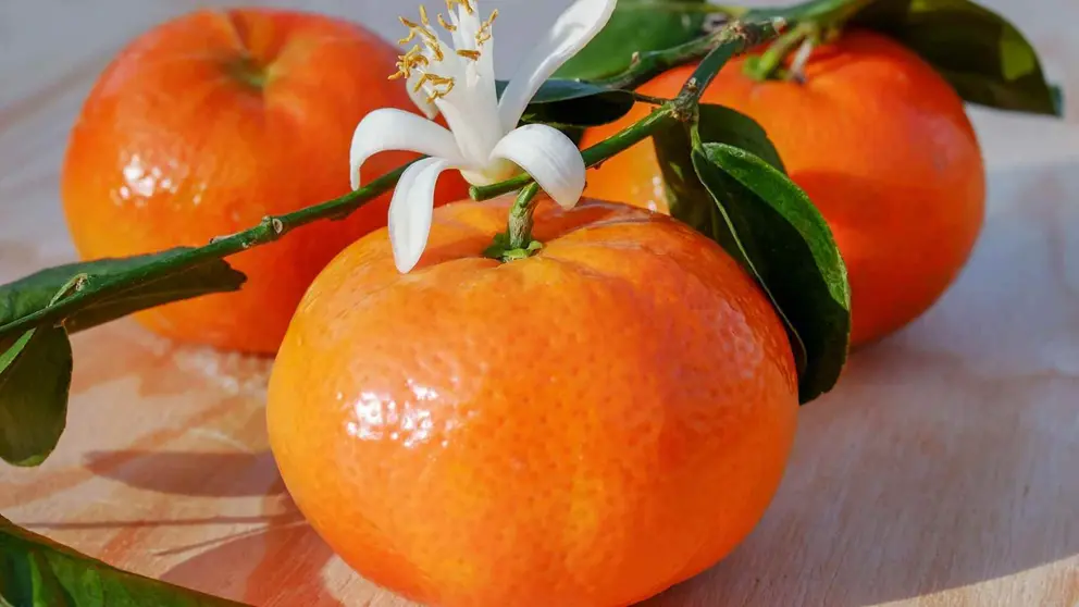 Qu&eacute; pasa si tomo mandarina todos los d&iacute;as 