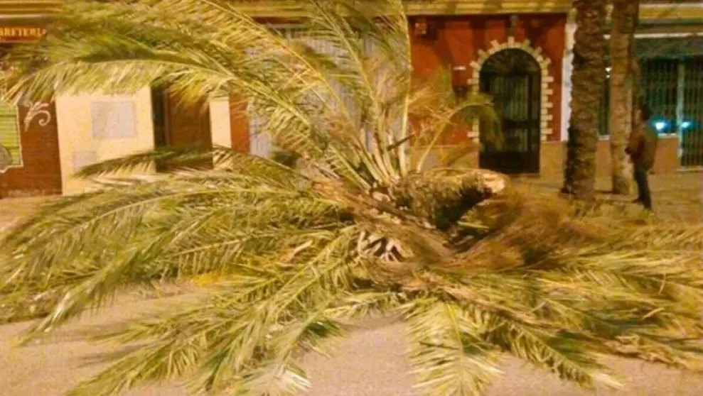 Alerta por fuertes vientos y C&aacute;diz, Granada y Almer&iacute;a