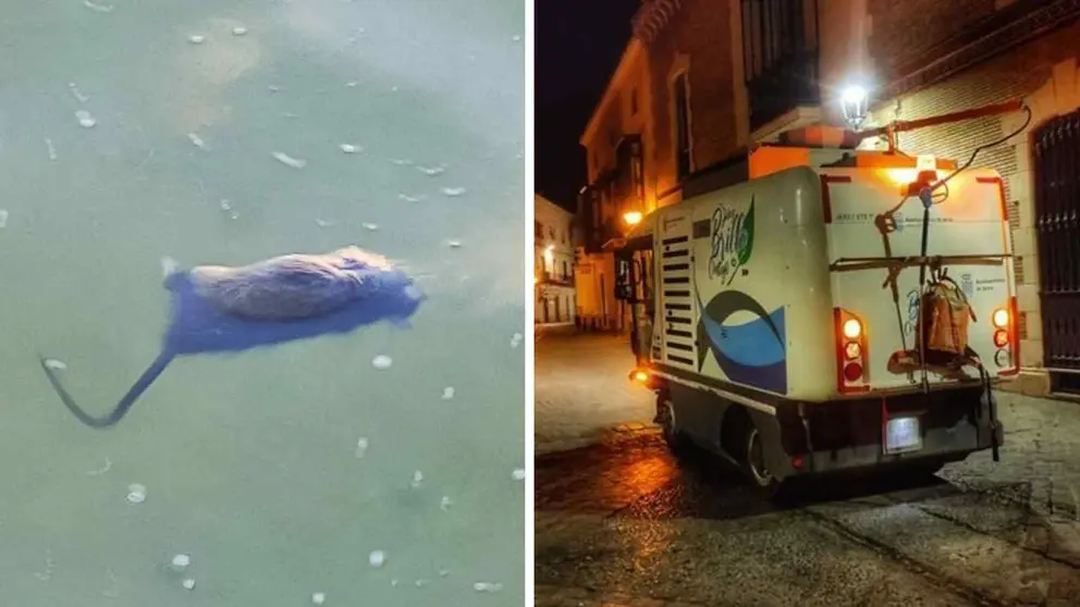 El Ayuntamiento de Jerez intensifica las labores de limpieza tras la denuncia de El MIRA