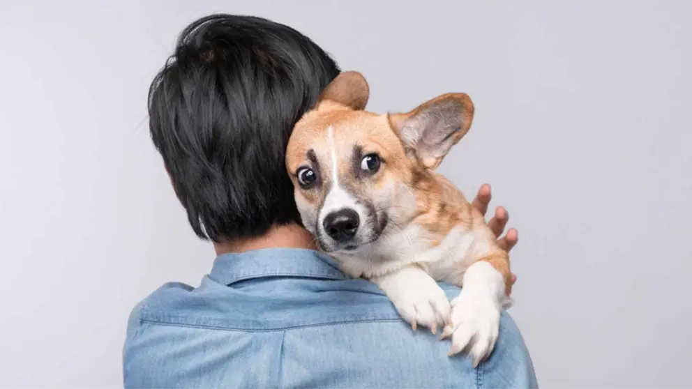 5 cosas que los perros odian de los humanos