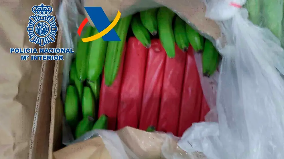 Encuentran 1.152 kilos de coca&iacute;na escondidos entre pl&aacute;tanos en el Puerto de Algeciras