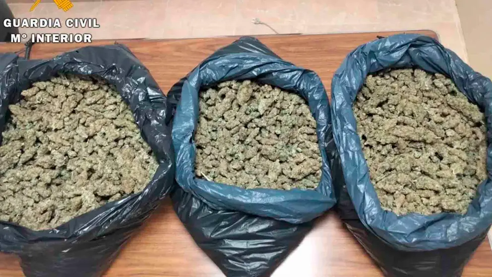 Marihuana incautada en Rute (C&oacute;rdoba)