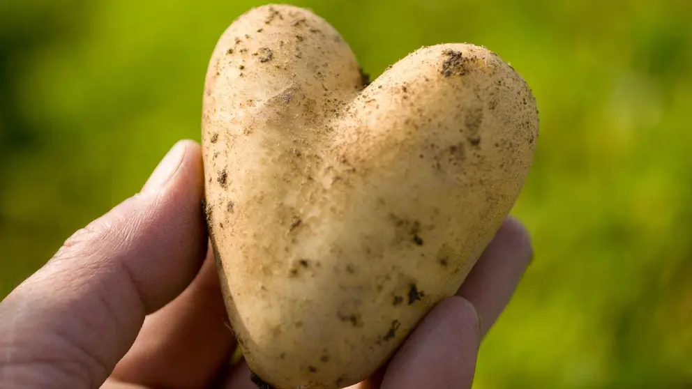 As&iacute; la patata cuida tu piel