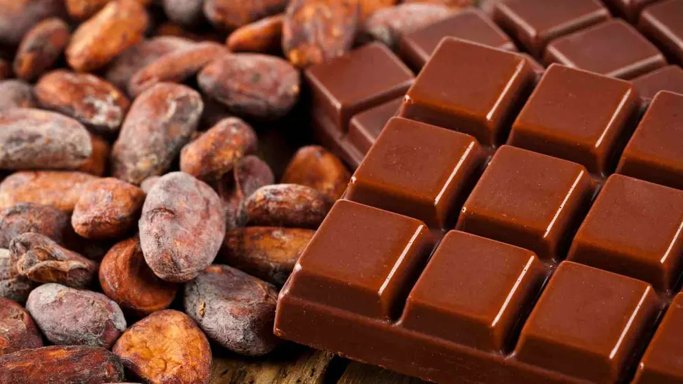 Esta es la verdad del cacao como superalimento y su beneficio para el coraz&oacute;n