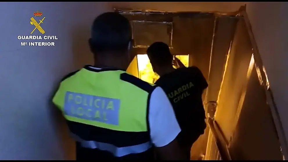 Marihuana oculta en el s&oacute;tano de una vivienda de alquiler en Jerez