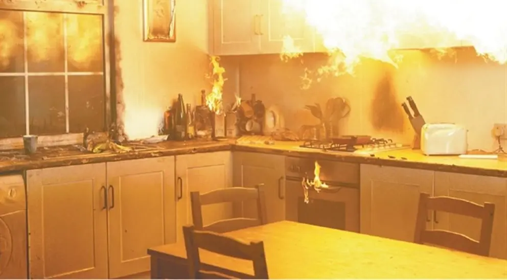 Varios animales dom&eacute;sticos han muerto en el incendio en una casa de Almer&iacute;a