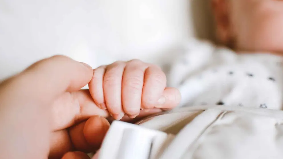 Dise&ntilde;o sin t&iacute;tulo - 2021-11-02T123727.690