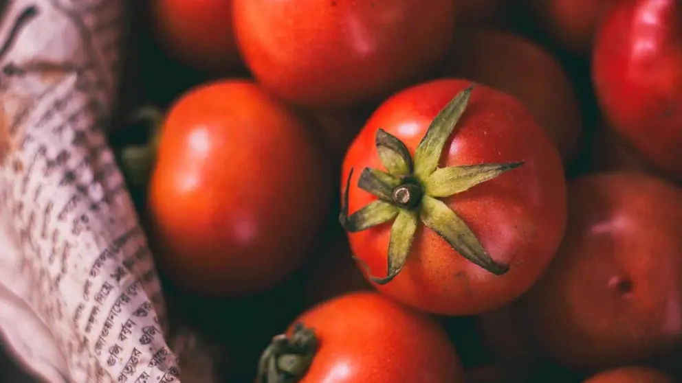 5 mitos del tomate