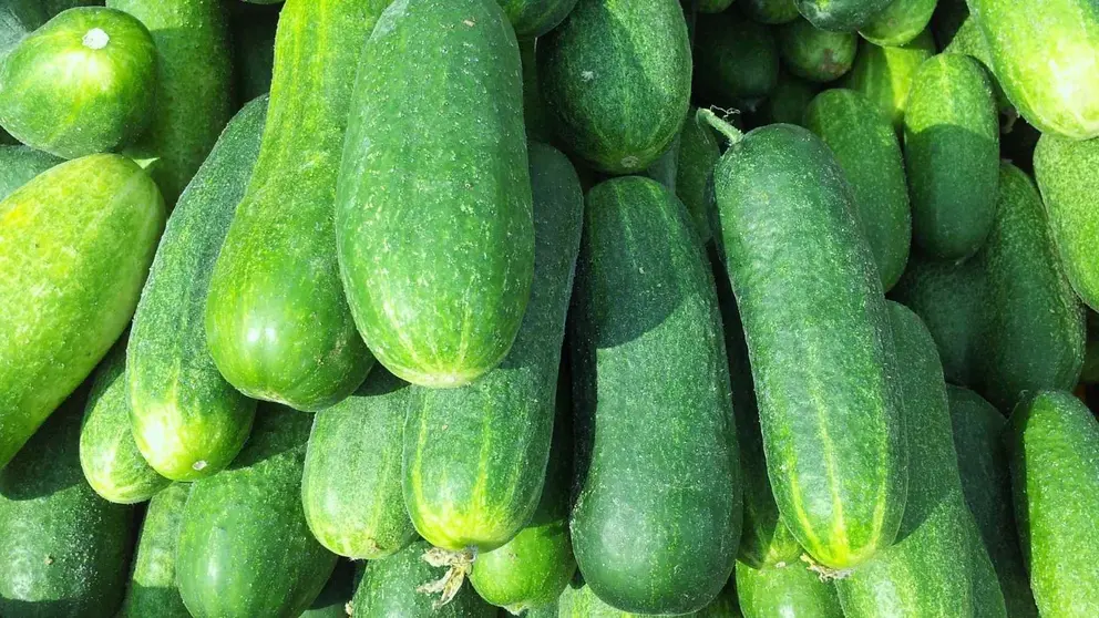 As&iacute; el pepino estimula el crecimiento del cabello