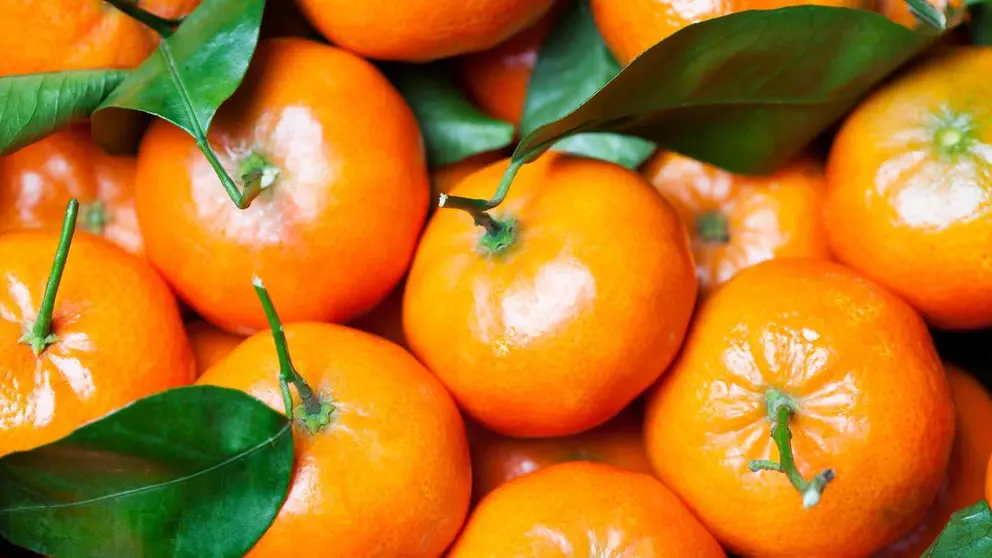 La mandarina, una gran fuente de vitaminas