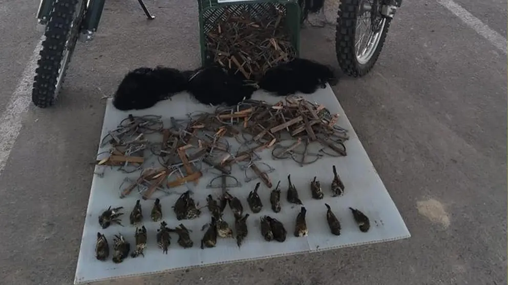 Pillado en Jerez un cazador furtivo con 25 ejemplares de aves muertas