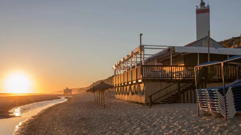 Dise&ntilde;o sin t&iacute;tulo - 2021-11-03T114013.510