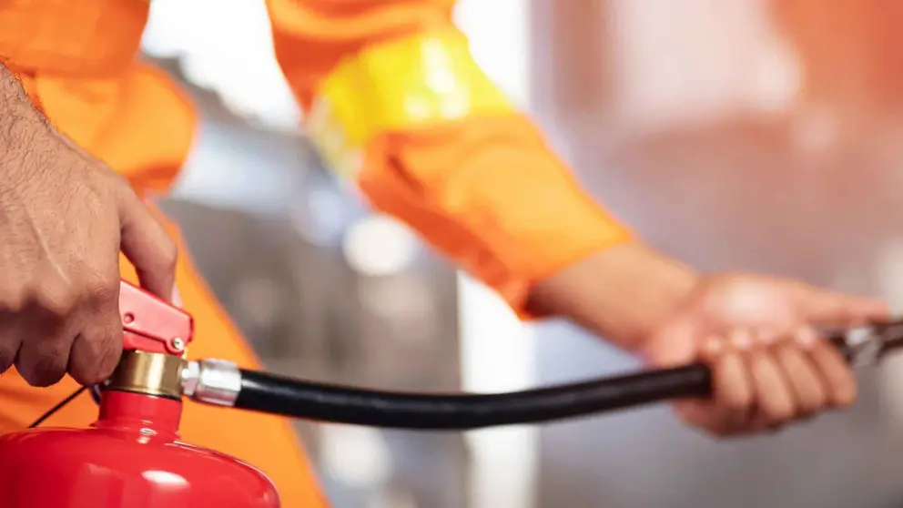 Dise&ntilde;o sin t&iacute;tulo - 2021-11-05T115531.954