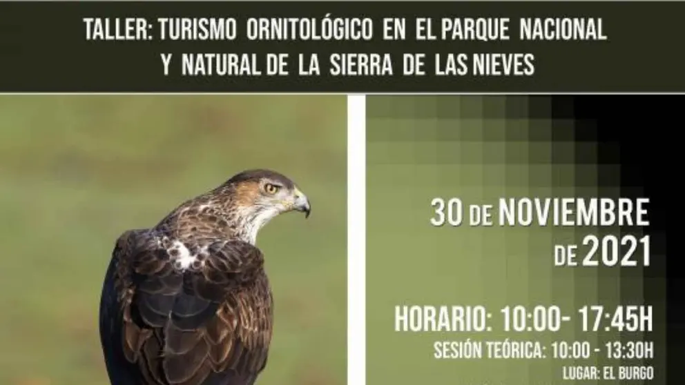 Taller ornitol&oacute;gico en el Parque Nacional Sierra de las Nieves (Diputaci&oacute;n de M&aacute;laga)