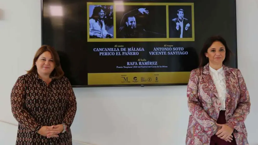 Acto de presentaci&oacute;n de las actividades por el D&iacute;a Internacional del Flamenco de la Diputaci&oacute;n de M&aacute;laga