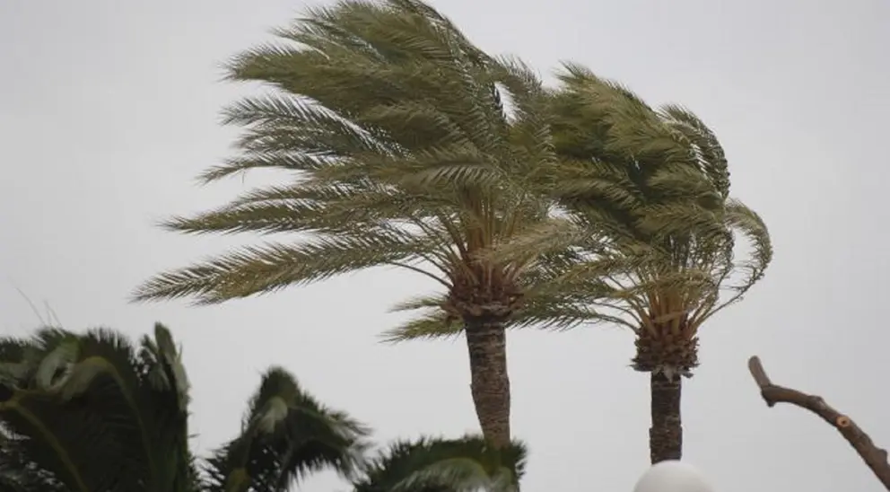 El Levante vuelve a soplar con fuerza en C&aacute;diz