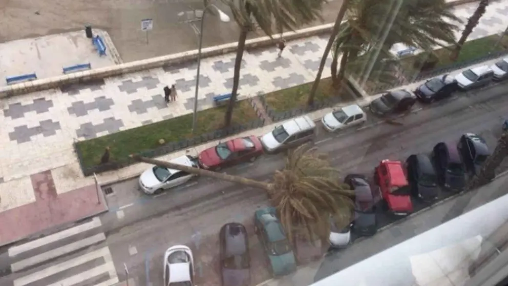 Temporal viento M&aacute;laga