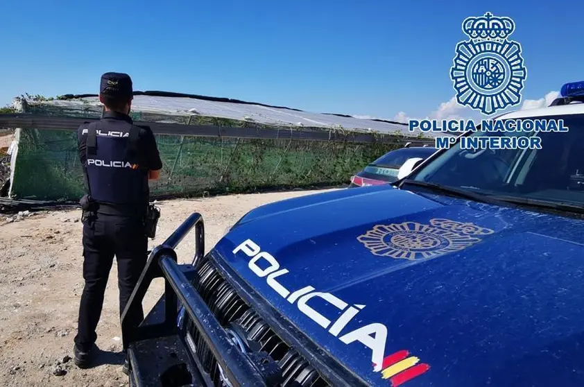 
<p>   ROTA (C&Aacute;DIZ), 25 (EUROPA PRESS)</p>
<p>   Agentes de la Polic&iacute;a Nacional han detenido en Rota (C&aacute;diz) a tres personas como presuntos autores de un delito contra la salud p&uacute;blica. Los detenidos son los presuntos responsables de un cultivo de cannabis sativa en el cual se han intervenido m&aacute;s de una tonelada de plantas de  marihuana.</p>
<p>   Seg&uacute;n ha explicado la Polic&iacute;a Nacional en una nota, la operaci&oacute;n, denominada 'Carmagnola', se llev&oacute; a cabo el d&iacute;a 18 cuando agentes especializados del grupo de Polic&iacute;a Judicial de la Comisar&iacute;a de la  Polic&iacute;a Nacional en Rota desmantelaron un punto de cultivo de marihuana ubicado en una finca en la zona rural de El Bercial.</p>
<p>   En el registro realizado los agentes intervinieron m&aacute;s de una tonelada de marihuana y procedieron a la detenci&oacute;n de tres personas por su presunta participaci&oacute;n en los hechos investigados.</p>
<p>   Una vez finalizado el atestado policial, los detenidos fueron puestos a disposici&oacute;n del Juzgado de Instrucci&oacute;n en funciones de guardia en Rota.</p>
      