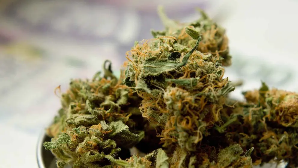 Dise&ntilde;o sin t&iacute;tulo - 2021-12-02T121909.971