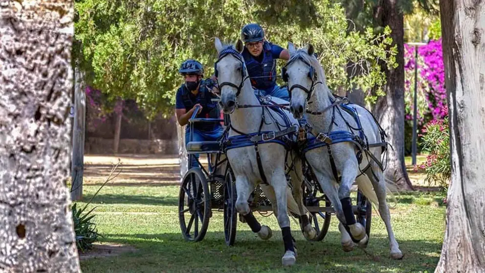 Jerez organiza una prueba de obst&aacute;culos de Enganches en el Parque Gonz&aacute;lez Honotoria