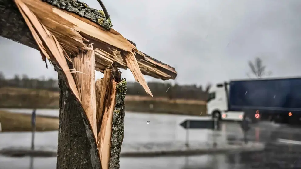 Muere en Granada tras caerle encima un &aacute;rbol mientras descargaba un cami&oacute;n