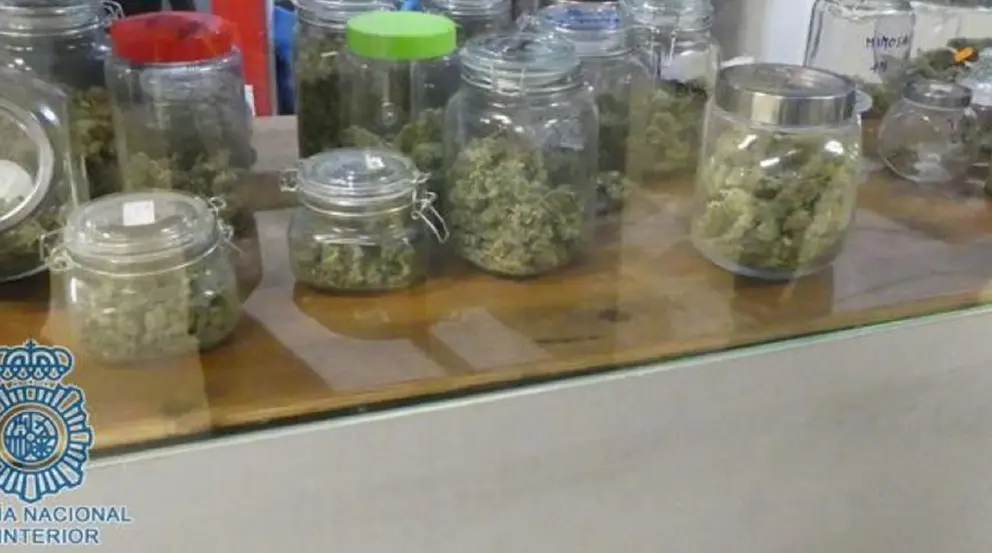 Acaban con un club de cannabis en Mijas oculto tras una antigua tienda de inform&aacute;tica